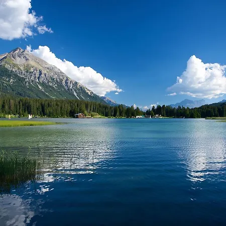 Schweizerhof 1 Apartment Lenzerheide